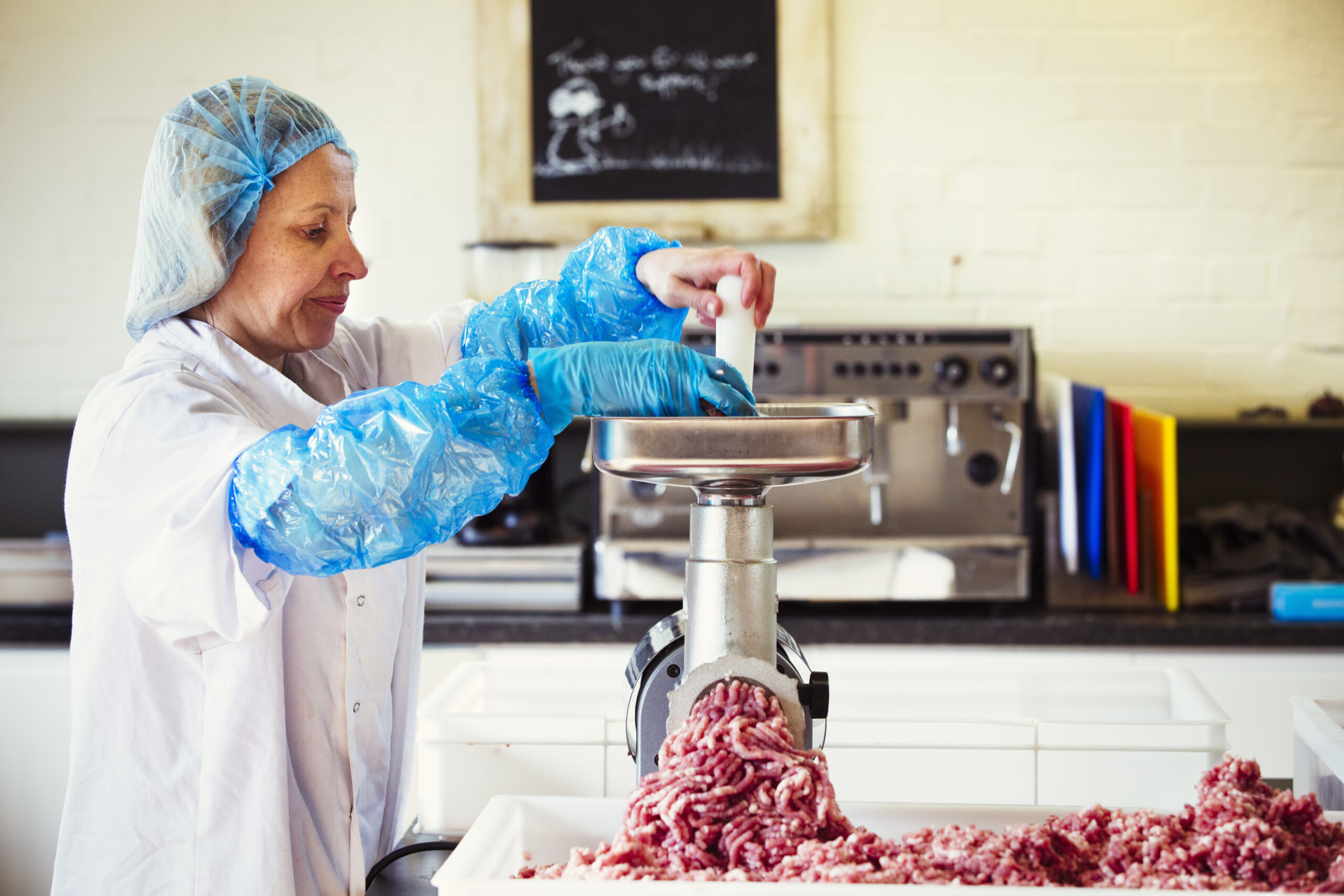 Charcuterie,UK,Woman working in a butchery, wearing protective clothes and gloves, putting minced meat into a meat grinder.